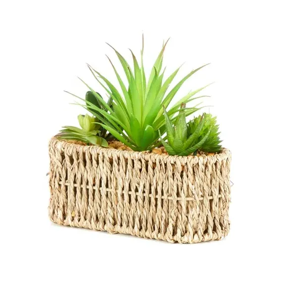 Artificial Succulent in Woven Pot - Multicolor