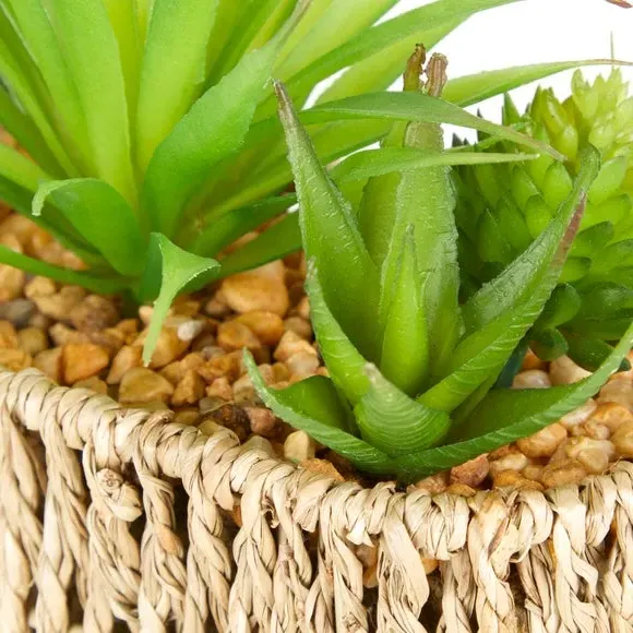 Artificial Succulent in Woven Pot - Multicolor