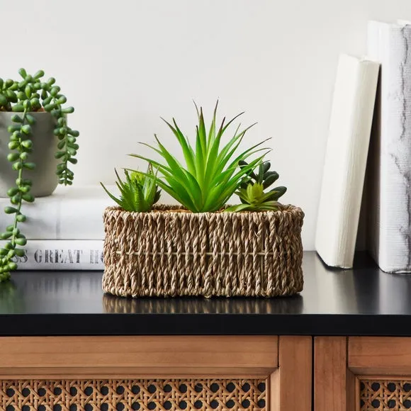 Artificial Succulent in Woven Pot - Multicolor image