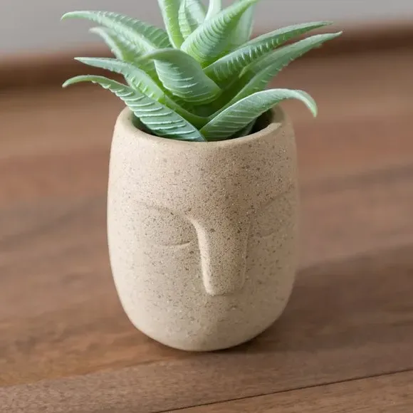 Artificial Succulent Plant - Cream, Face Pot