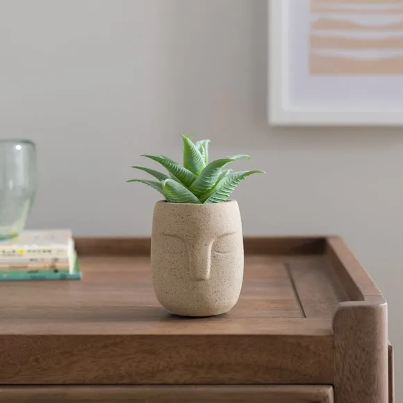 Artificial Succulent Plant - Cream, Face Pot image