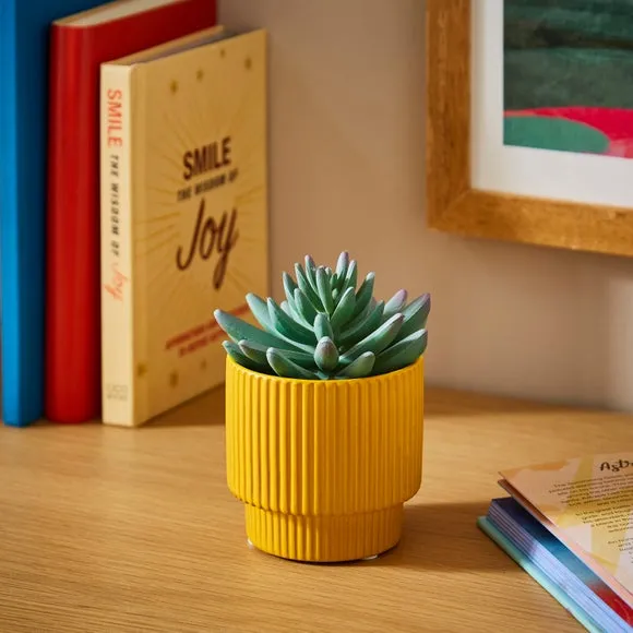 Artificial Succulent Plant - Ochre, Ceramic image