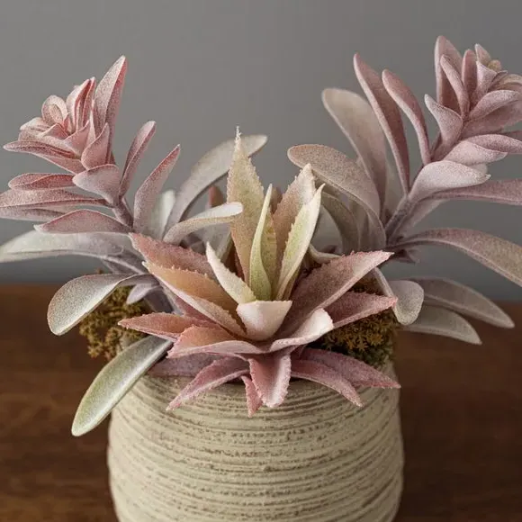 Artificial Succulent Plant - Pink, Natural Pot