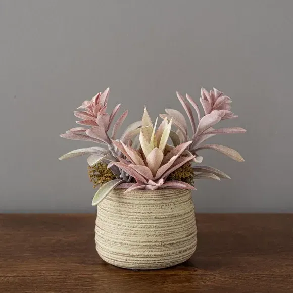 Artificial Succulent Plant - Pink, Natural Pot