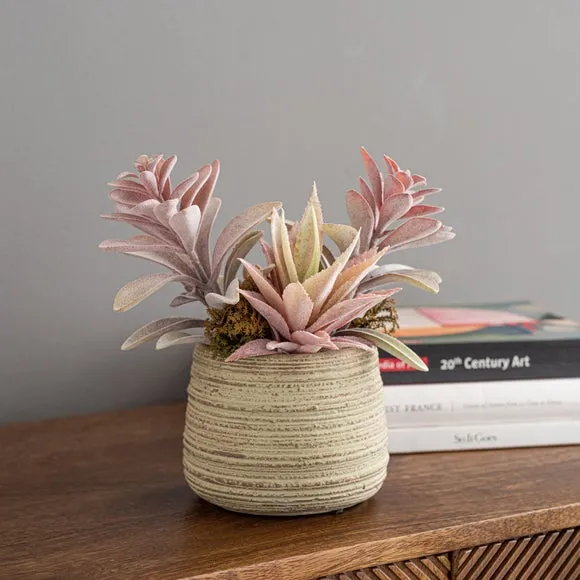Artificial Succulent Plant - Pink, Natural Pot image