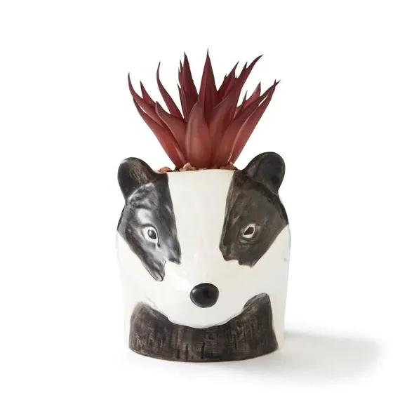 Artificial Succulent Plant Pot - Badger, Ceramic