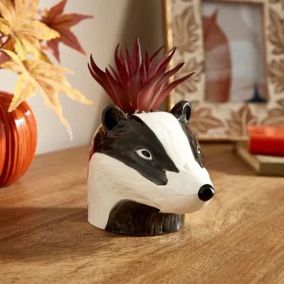 Artificial Succulent Plant Pot - Badger, Ceramic