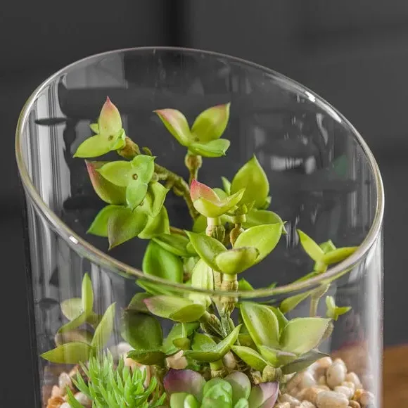 Artificial Succulent Terrarium - Green, Glass