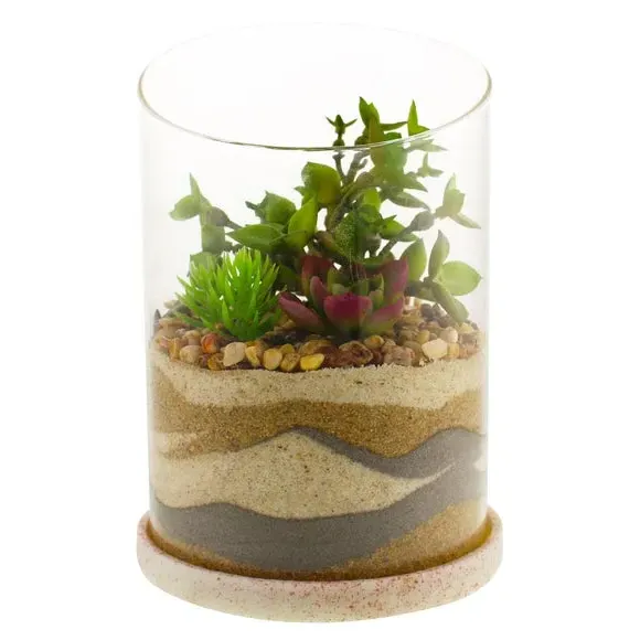 Artificial Succulent Terrarium - Green, Glass
