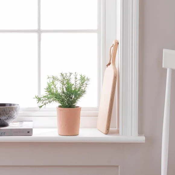 Artificial Thyme Plant - Green, Cement Pot image