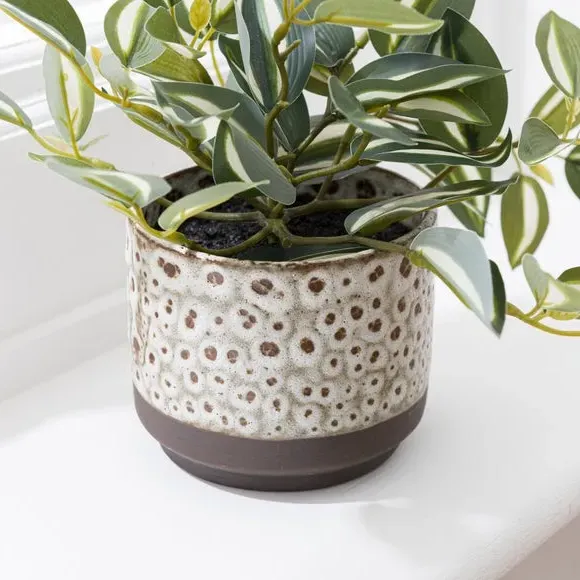 Artificial Tradescantia Plant - Cream, Ceramic