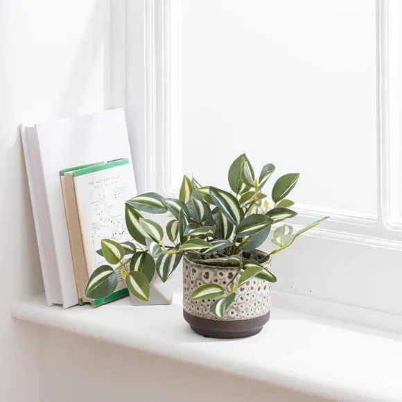 Artificial Tradescantia Plant - Cream, Ceramic