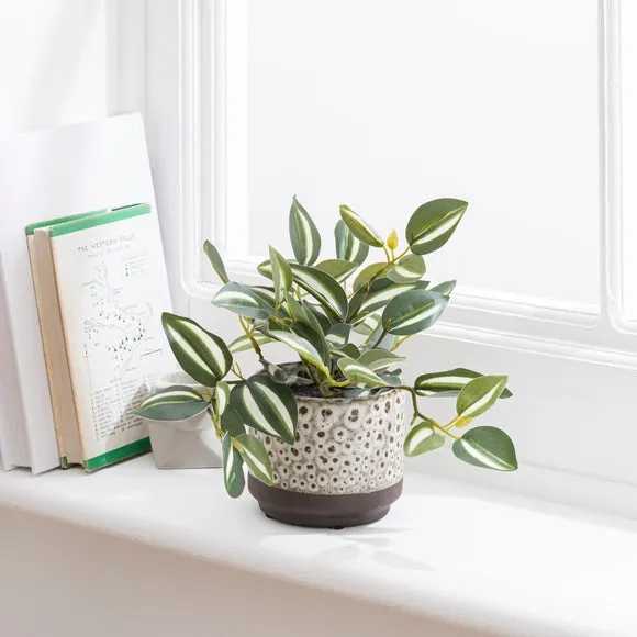 Artificial Tradescantia Plant - Cream, Ceramic image