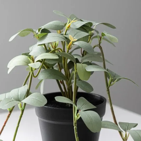 Artificial Trailing Plant - Green, Black Pot