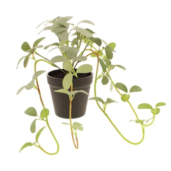Artificial Trailing Plant - Green, Black Pot