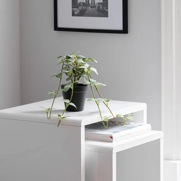 Artificial Trailing Plant - Green, Black Pot image