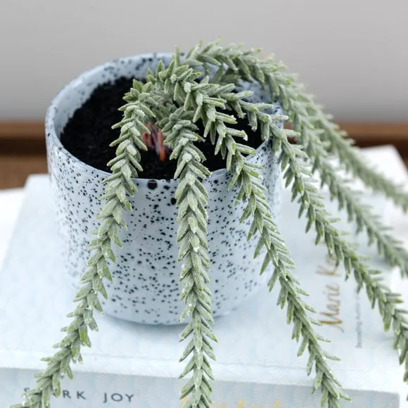 Artificial Trailing Sedum Plant - Blue, Ceramic