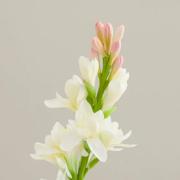 Artificial Tuberose Stem - White