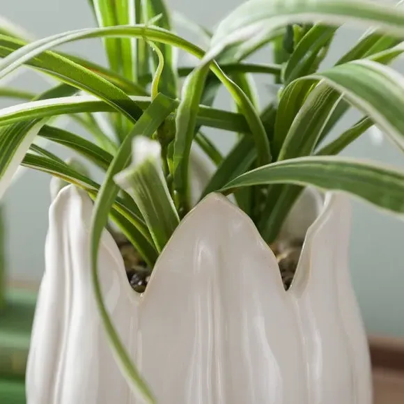 Artificial Yucca Plant - White, Ceramic Pot