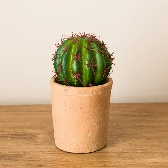 Ball Cactus Artificial Plant - Green, Terracotta