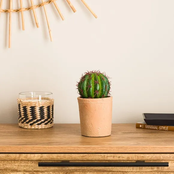 Ball Cactus Artificial Plant - Green, Terracotta image