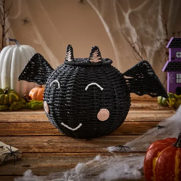 Bat Storage Basket with Lid - Black image