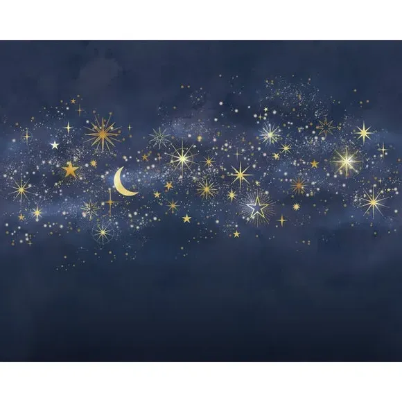 Celestial Wall Mural with Matt Finish - Blue