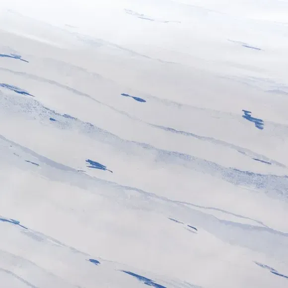 Chinoiserie Duvet Cover Set - Blue, Polycotton