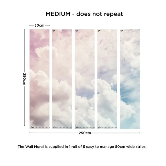 Cloud Design Wall Mural - Pink