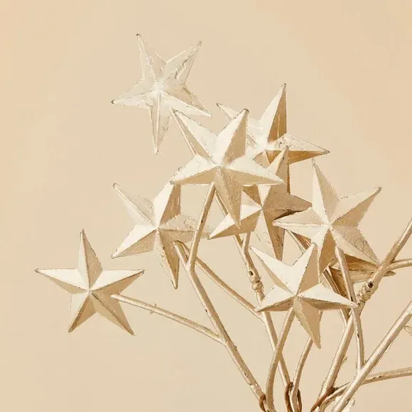 Decorative Stars Pick - Gold