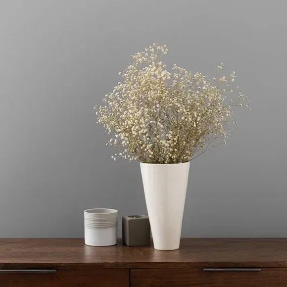 Dried Gypsophila Bouquet - White, Natural image
