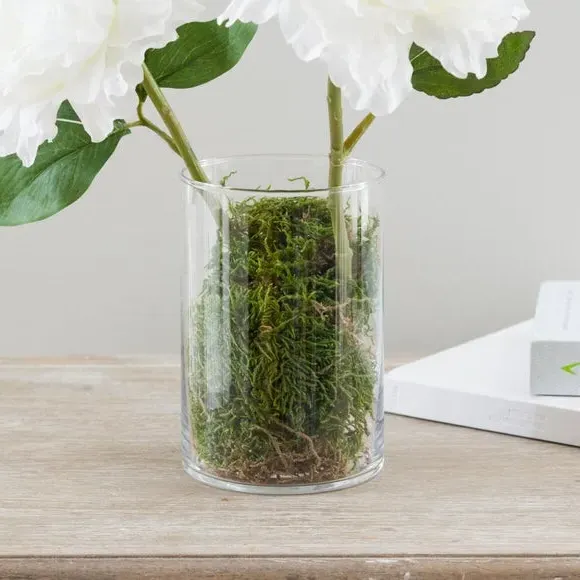 Dried Natural Moss - Green