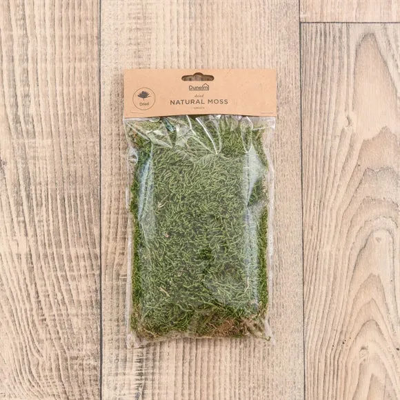 Dried Natural Moss - Green