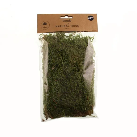 Dried Natural Moss - Green
