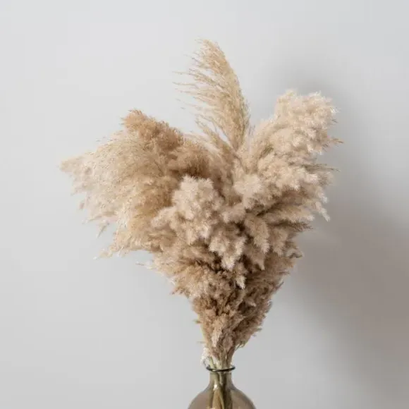 Dried Pampas Grass Bouquet - Natural