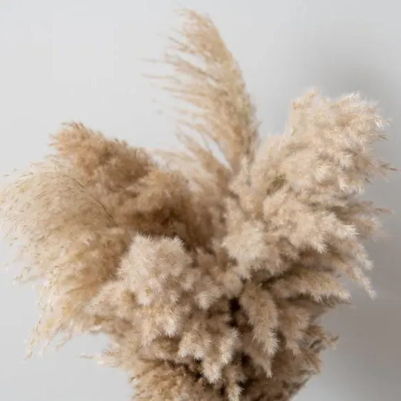 Dried Pampas Grass Bouquet - Natural
