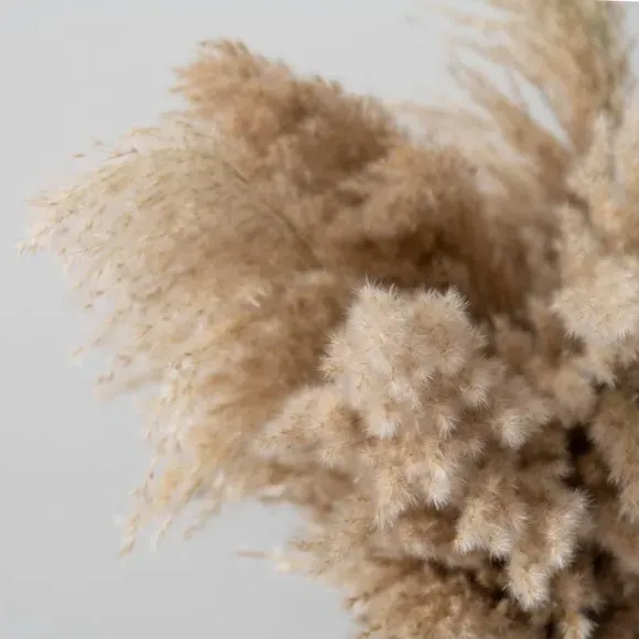 Dried Pampas Grass Bouquet - Natural