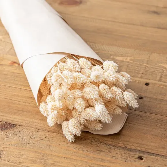 Dried Phalaris Bouquet - Cream