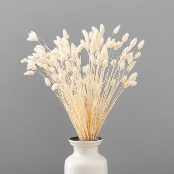 Dried Phalaris Bouquet - Cream