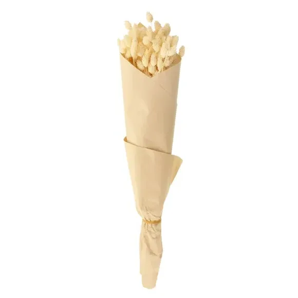 Dried Phalaris Bouquet - Cream