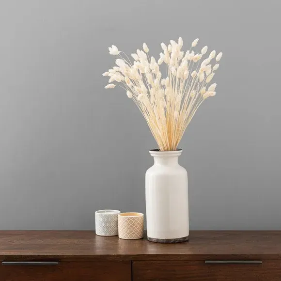 Dried Phalaris Bouquet - Cream image