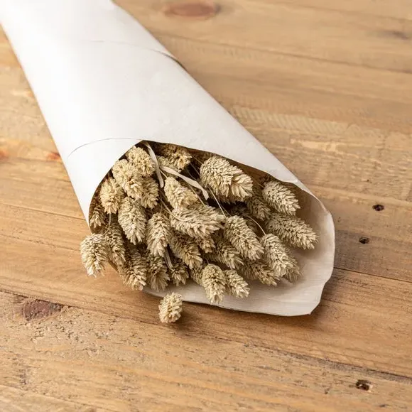 Dried Phalaris Bouquet - Natural