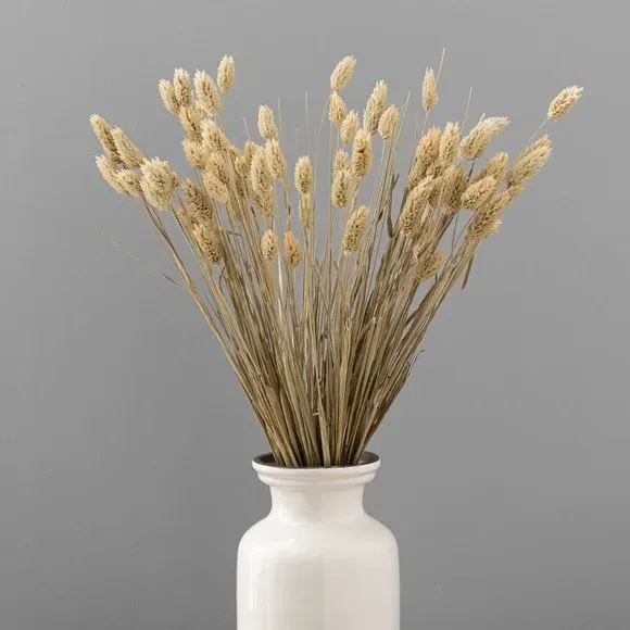 Dried Phalaris Bouquet - Natural