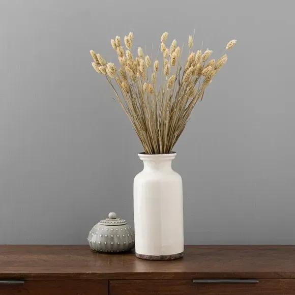 Dried Phalaris Bouquet - Natural