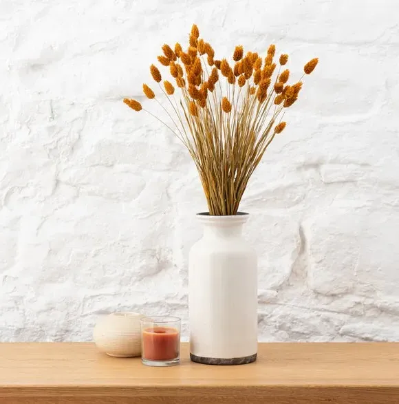 Dried Phalaris Bouquet - Ochre