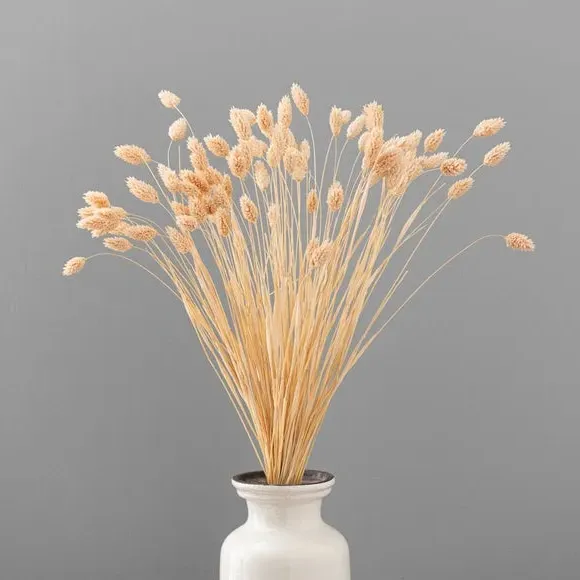 Dried Phalaris Bouquet - Pink