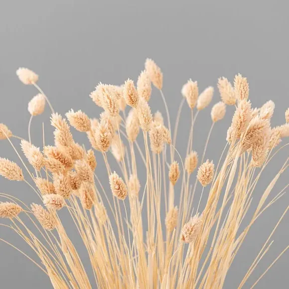 Dried Phalaris Bouquet - Pink