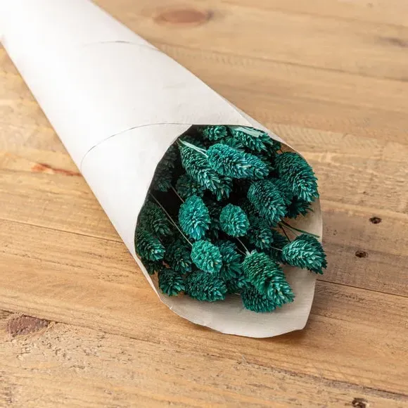 Dried Phalaris Bouquet - Teal