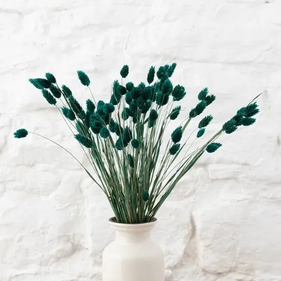 Dried Phalaris Bouquet - Teal
