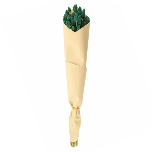 Dried Phalaris Bouquet - Teal